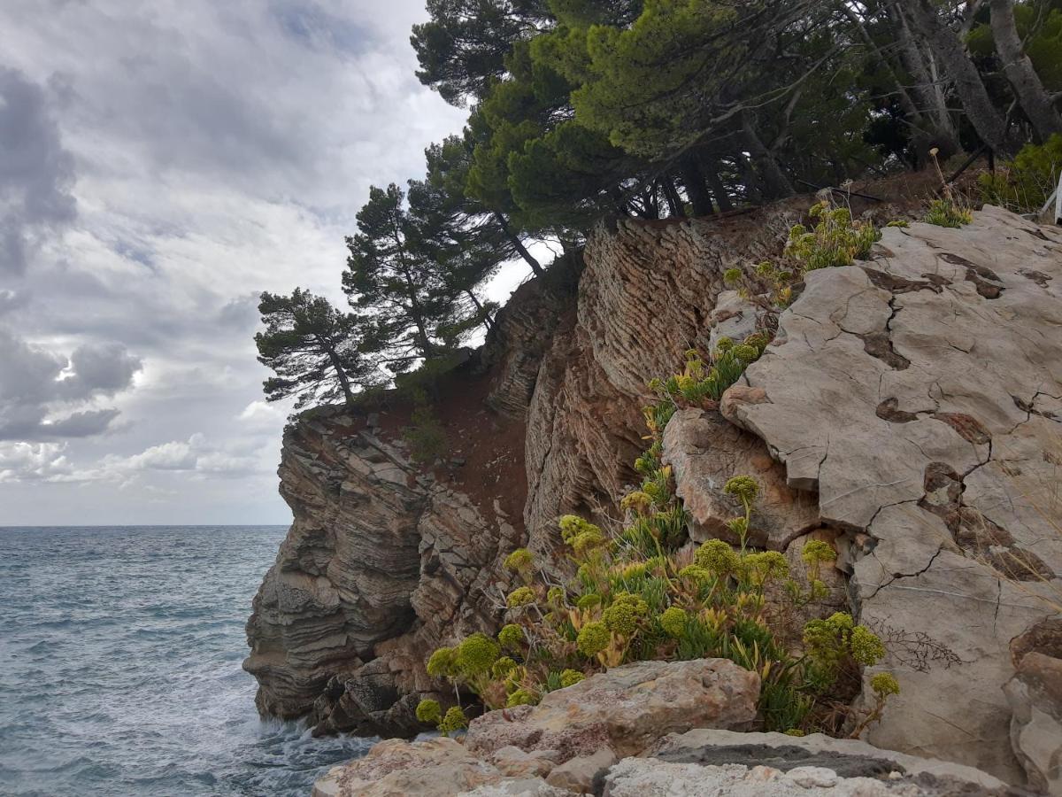 Sea-Side Old Stone Villa With A Private Garden بودفا المظهر الخارجي الصورة