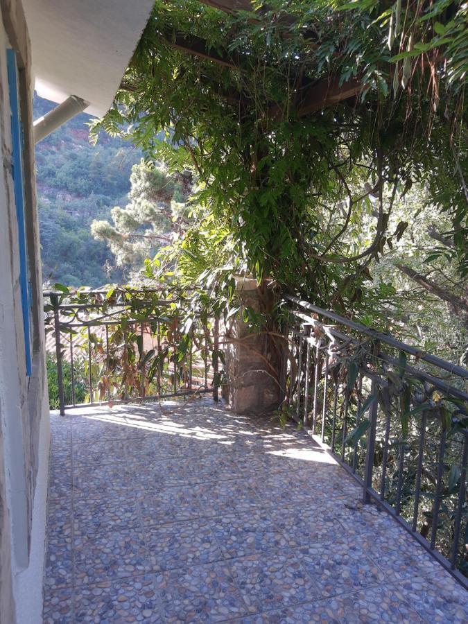 Sea-Side Old Stone Villa With A Private Garden بودفا المظهر الخارجي الصورة