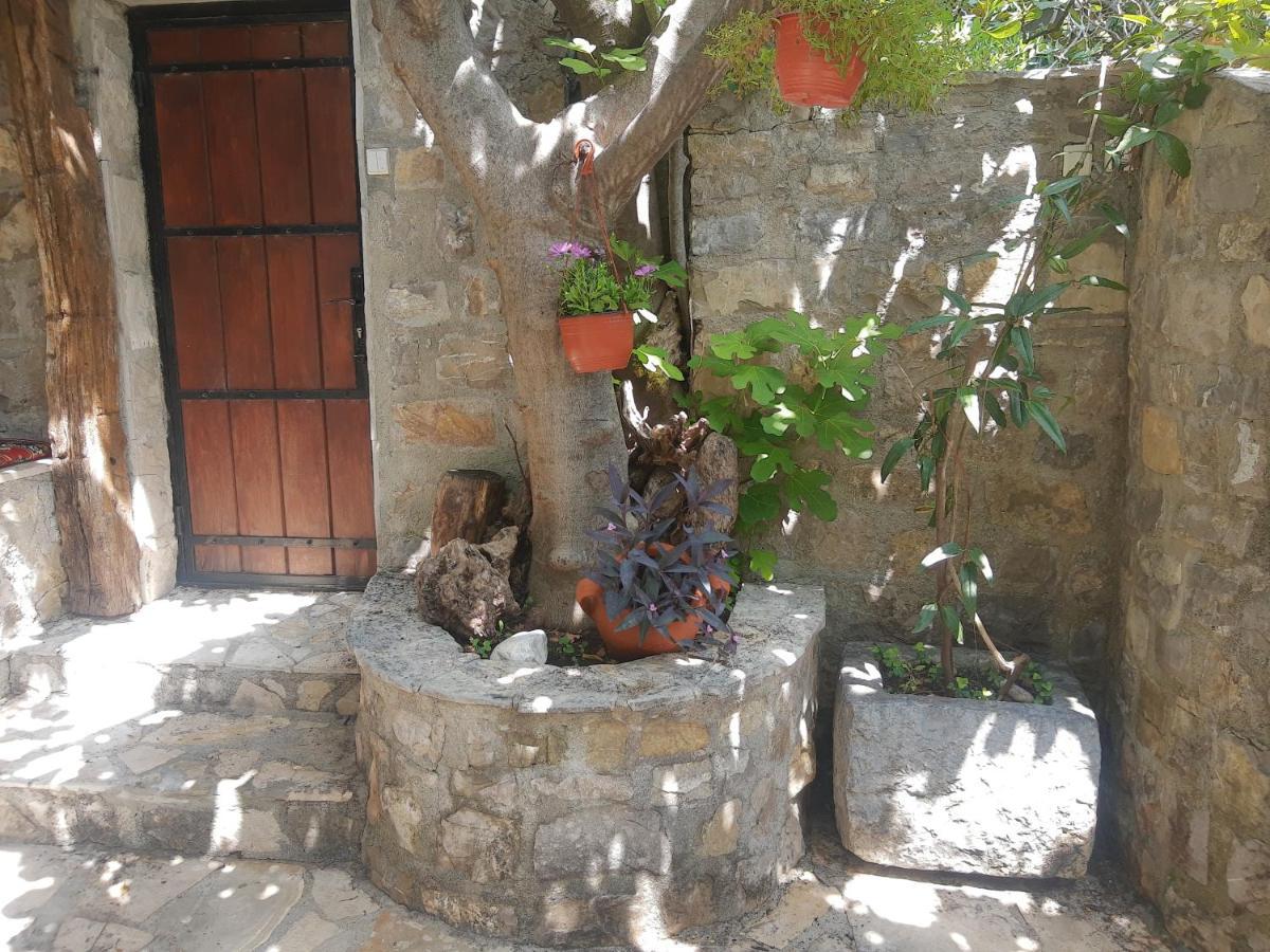 Sea-Side Old Stone Villa With A Private Garden بودفا المظهر الخارجي الصورة