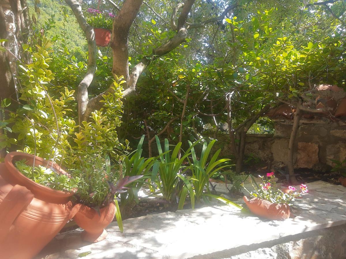 Sea-Side Old Stone Villa With A Private Garden بودفا المظهر الخارجي الصورة