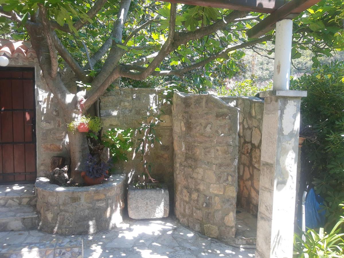 Sea-Side Old Stone Villa With A Private Garden بودفا المظهر الخارجي الصورة