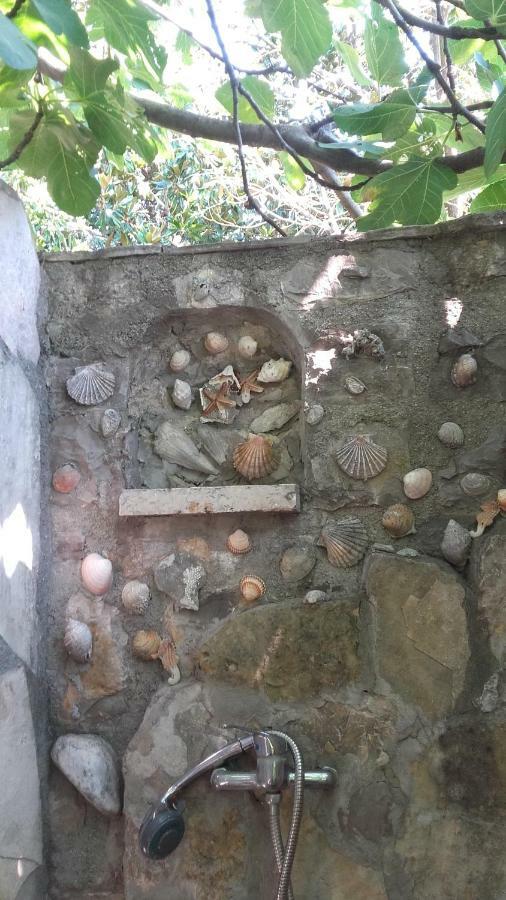 Sea-Side Old Stone Villa With A Private Garden بودفا المظهر الخارجي الصورة